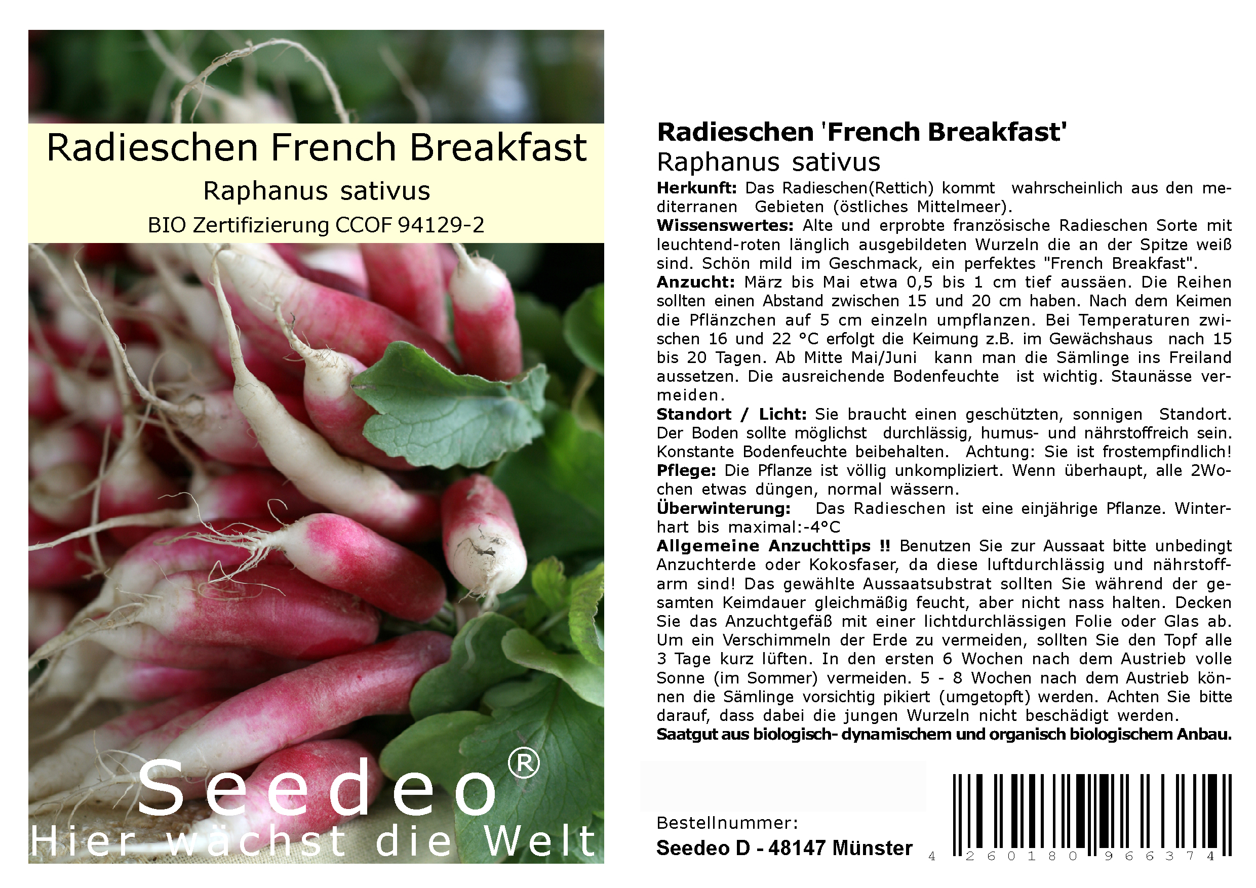 Seedeo® Radieschen 'French Breakfast' ( Raphanus sativus ) 500 Samen BIO