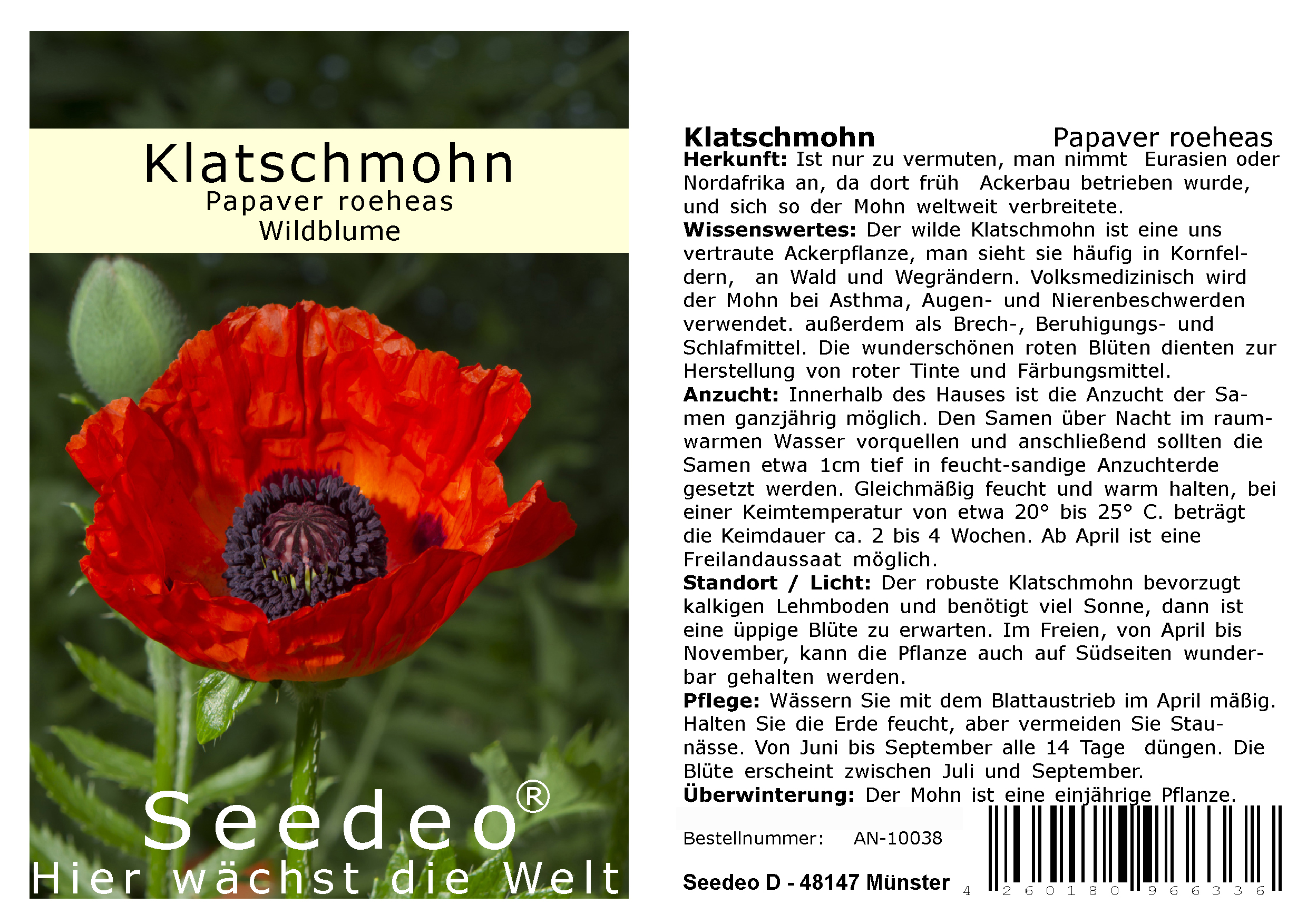 Seedeo® Klatschmohn (Papaver roeheas) 1000 Samen