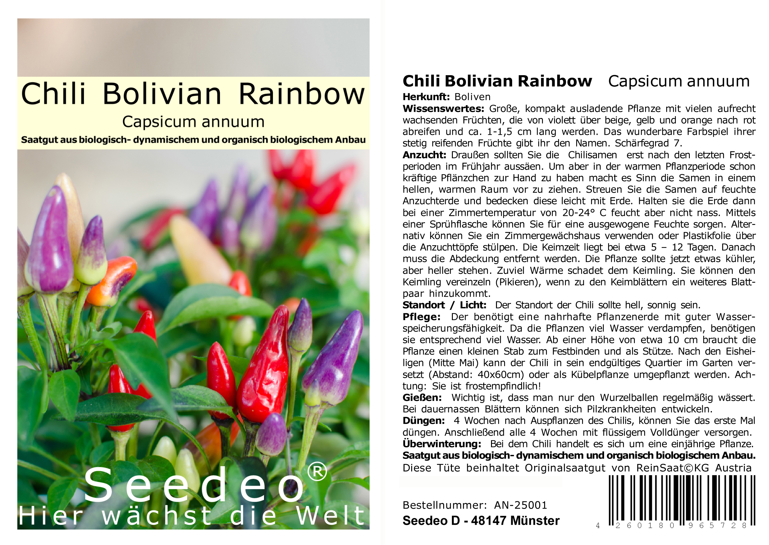 Seedeo® Chili Bolivian Rainbow (Capsicum annuum) 10 Samen