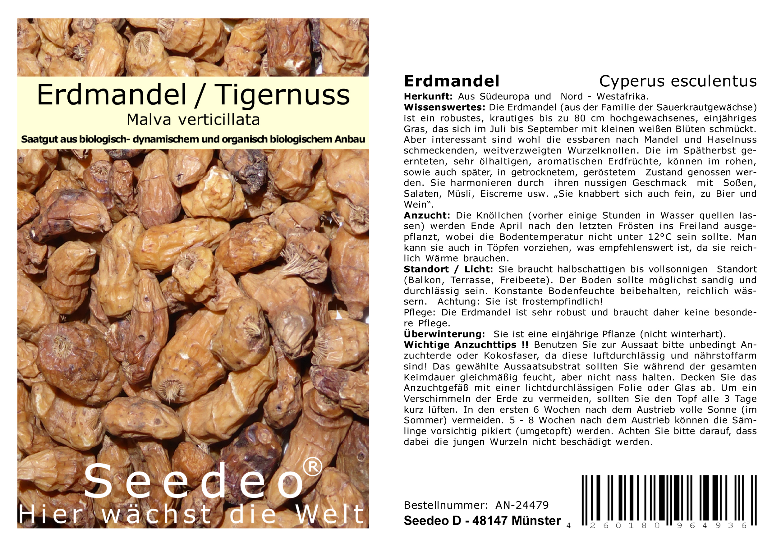 Seedeo® Erdmandel „Tigernuss Chufa“ (Cyperus esculentus)  10 Samen BIO