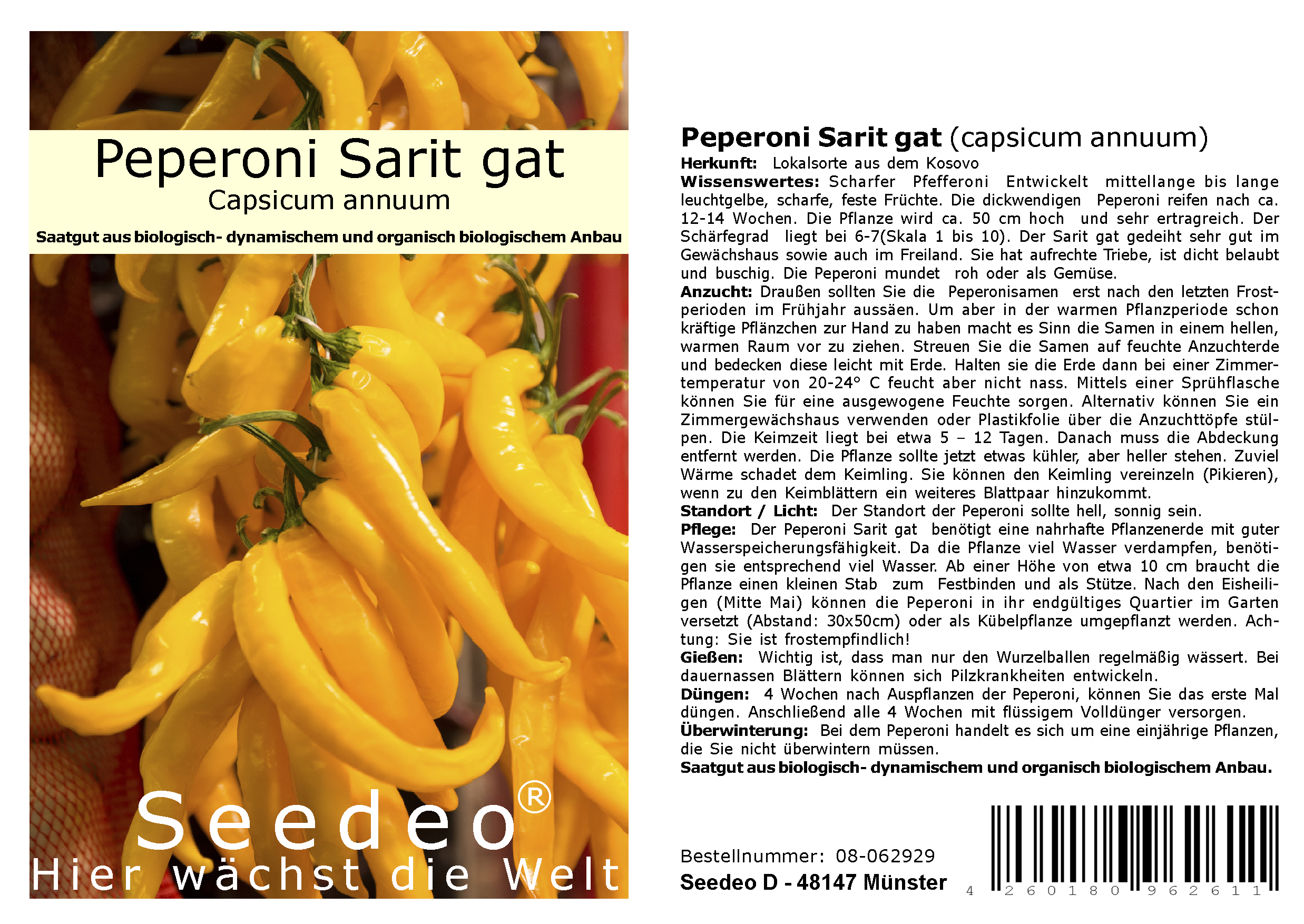Seedeo® Peperoni Sarit gat (capsicum annuum) 20 Samen BIO