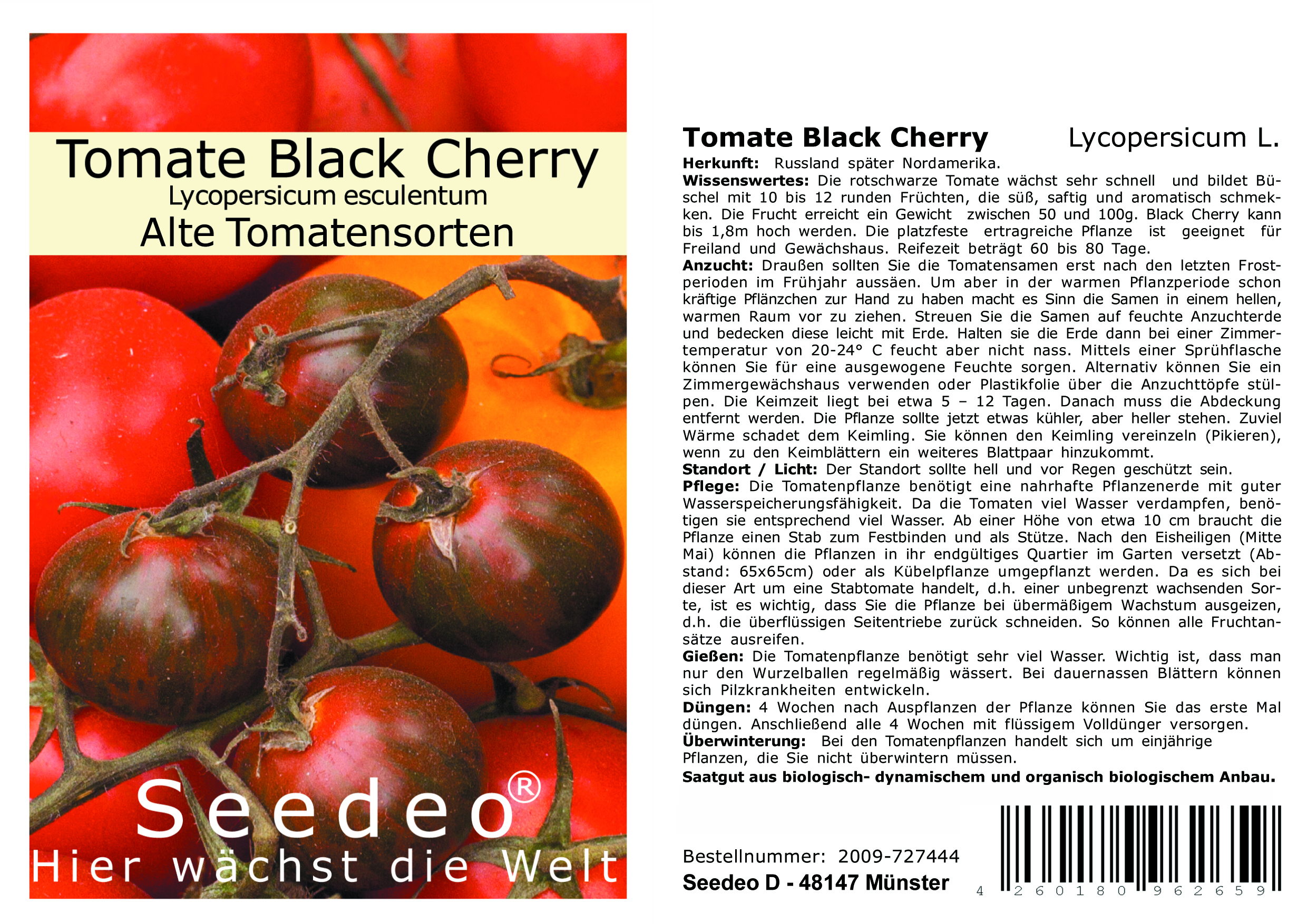 Seedeo® Tomate Black Cherry (Lycopersicum L.) 25 Samen BIO