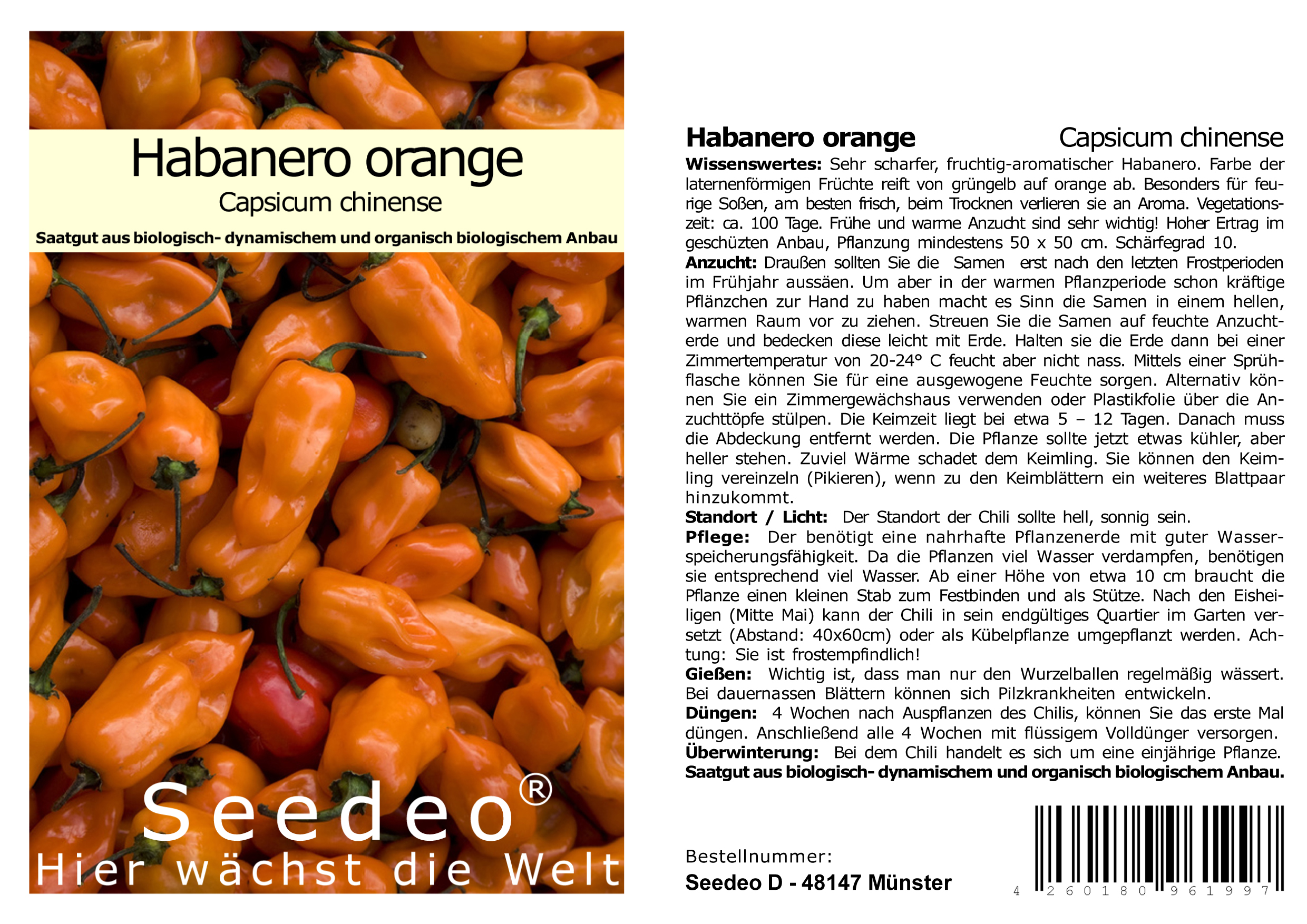 Seedeo® Chili Habanero, Orange (capsicum chinense) 20  Samen BIO