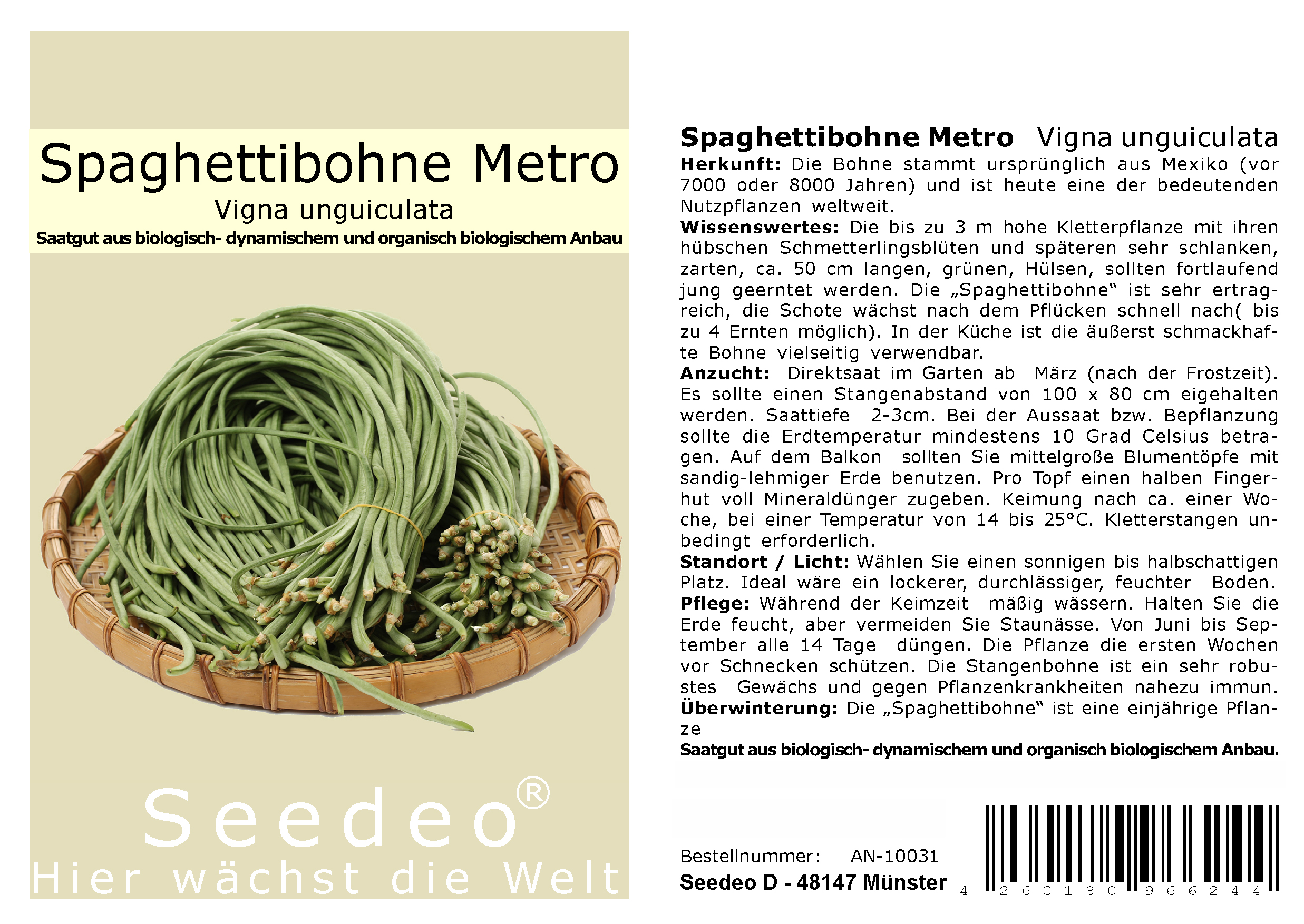 Seedeo® Spaghettibohne Metro (Vigna unguiculata)  20 Samen BIO