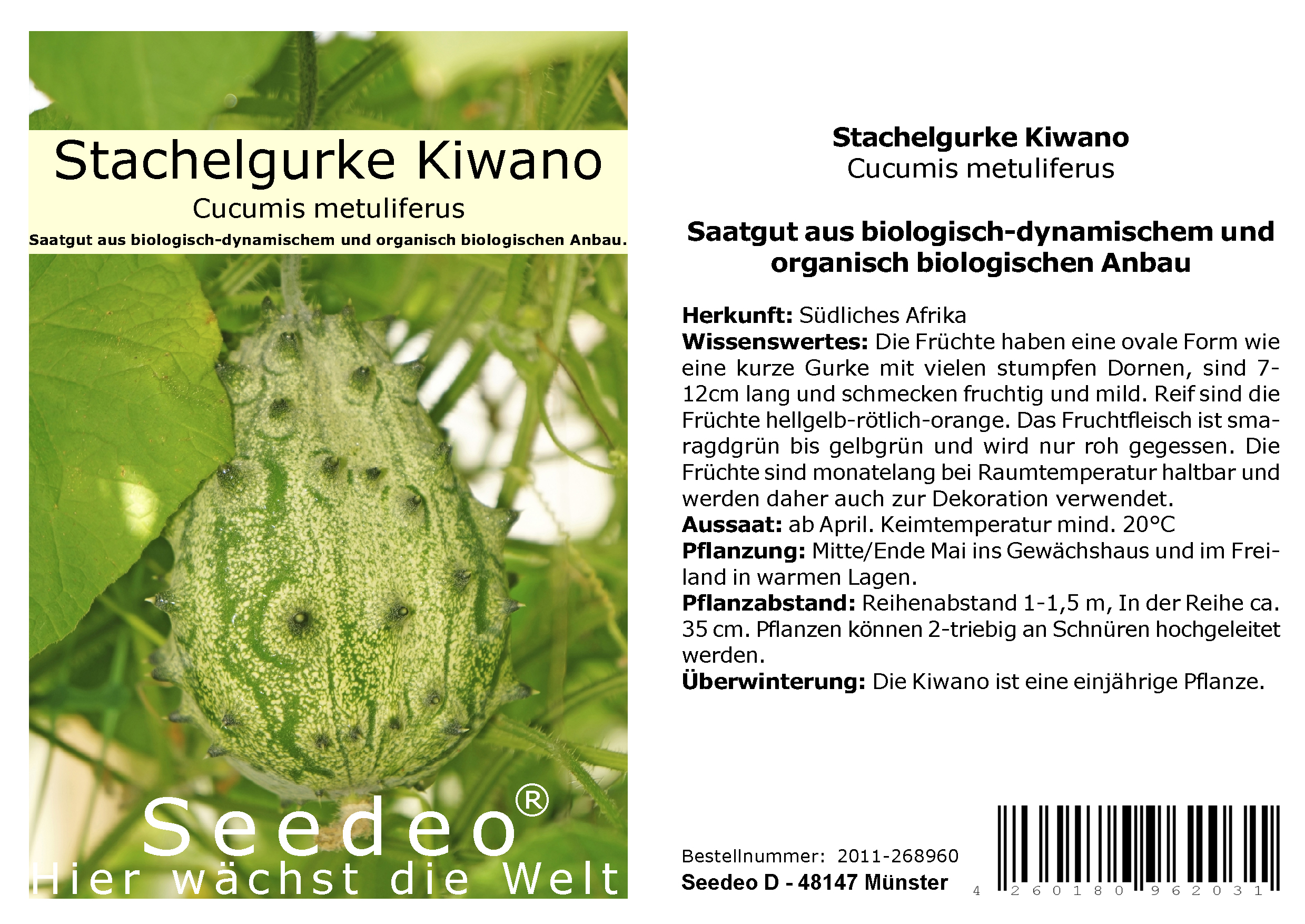 Seedeo® Stachelgurke Kiwano  (Cucumis metuliferus)  10 Samen