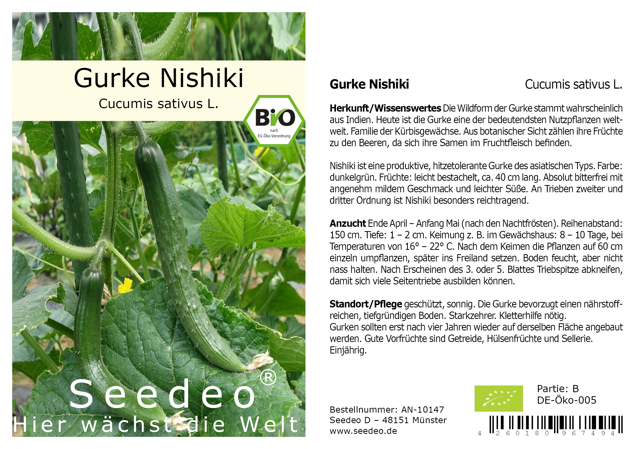 Seedeo® Gurke Nishiki (Cucumis sativus L.) ca. 10 Samen BIO