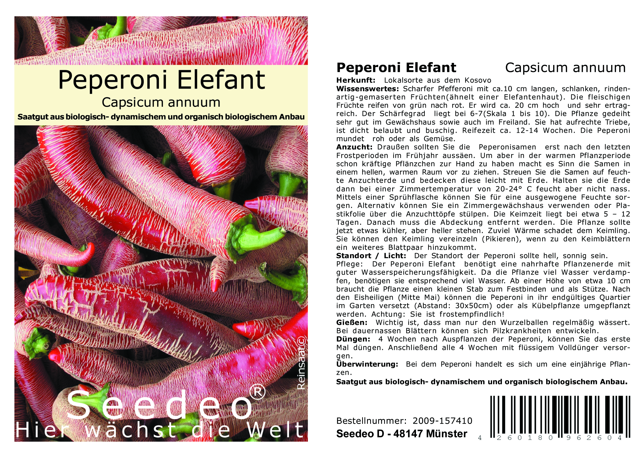 Seedeo® Anzucht-Geschenkset Peperoni Elefant (Capsicum annuum) BIO