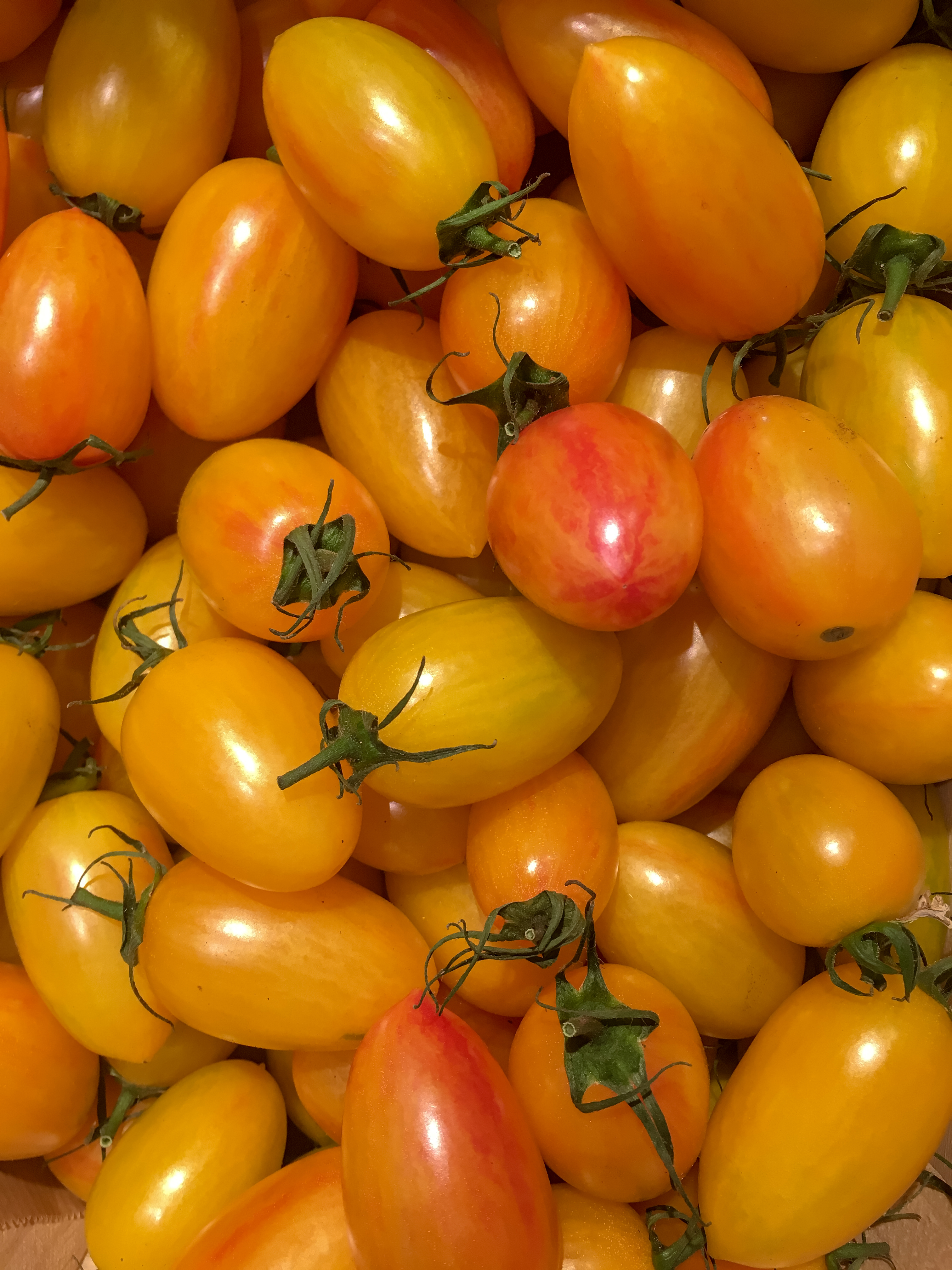 Seedeo® Tomate Artisan Blush Tiger (Lycopersicum L.) 25 Samen BIO