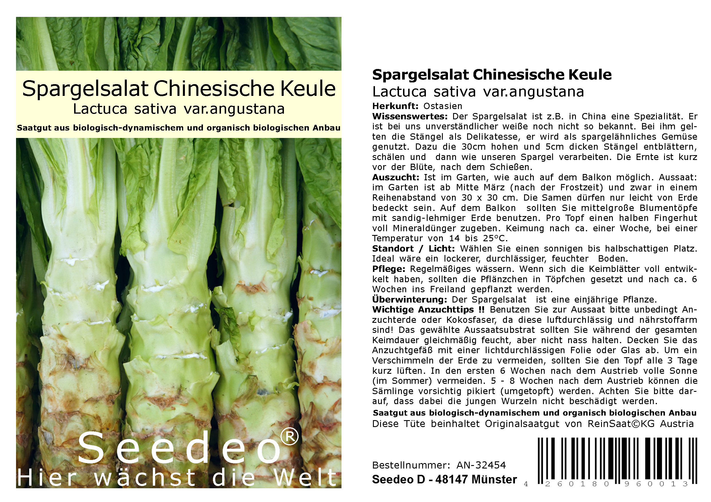 Seedeo® Spargelsalat Chinesische Keule (Lactuca sativa var. angustana) BIO