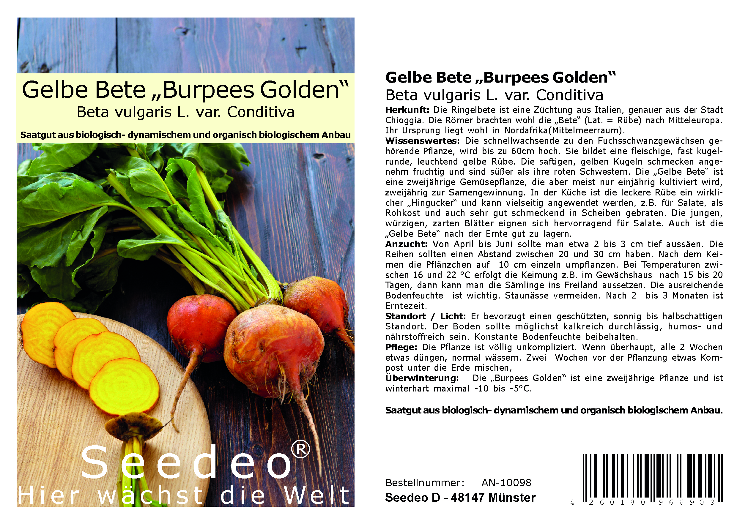 Gelbe Bete „Burpees Golden“  (Beta vulgaris L. var. Conditiva) 100 Samen BIO
