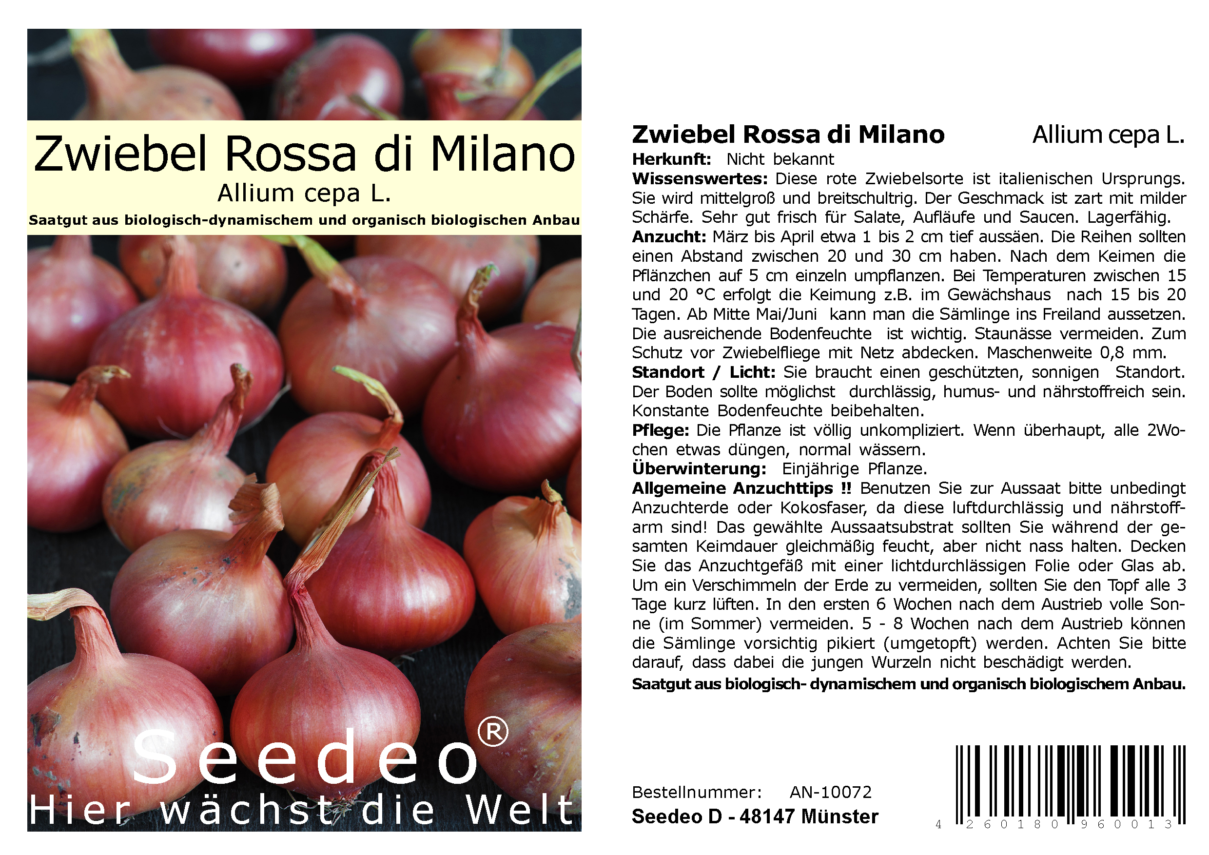 Seedeo® Zwiebel Rossa di Milano (Allium cepa L.) ca. 300 Samen BIO