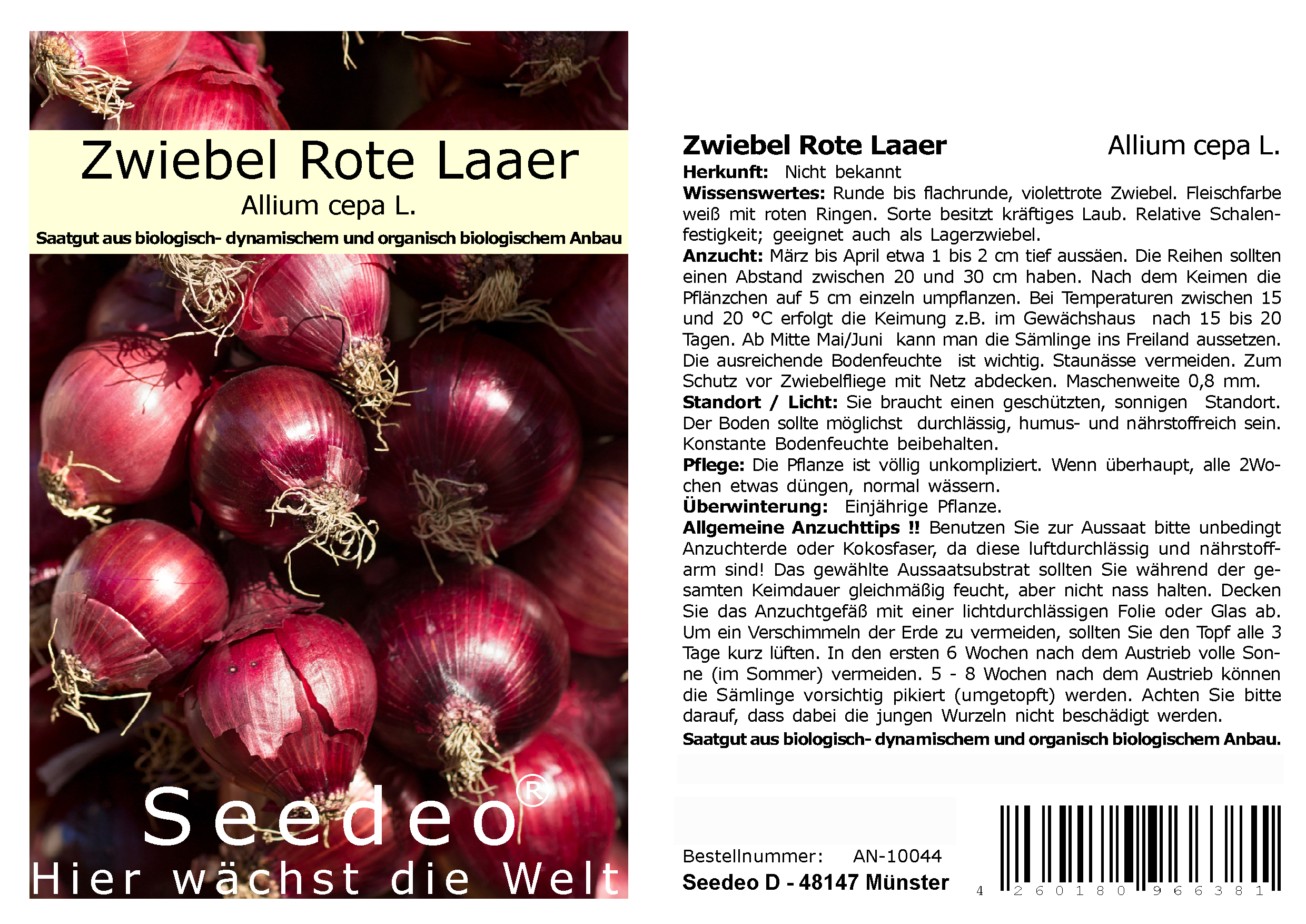 Seedeo® Zwiebel Rote Laaer   (Allium cepa L.) 200 Samen BIO