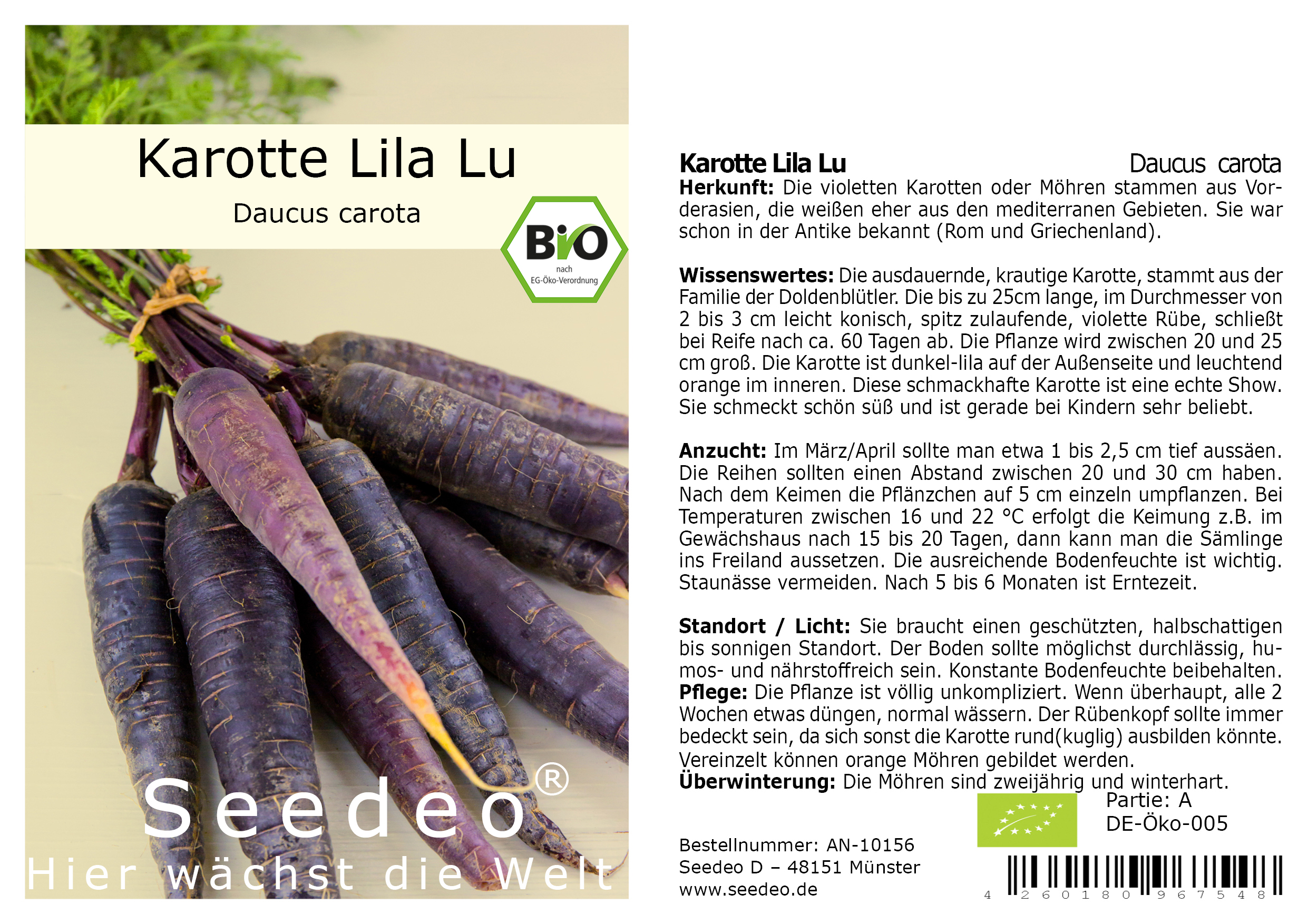 Seedeo® Karotte Lila Lu (Daucus carota) ca.100 Samen BIO