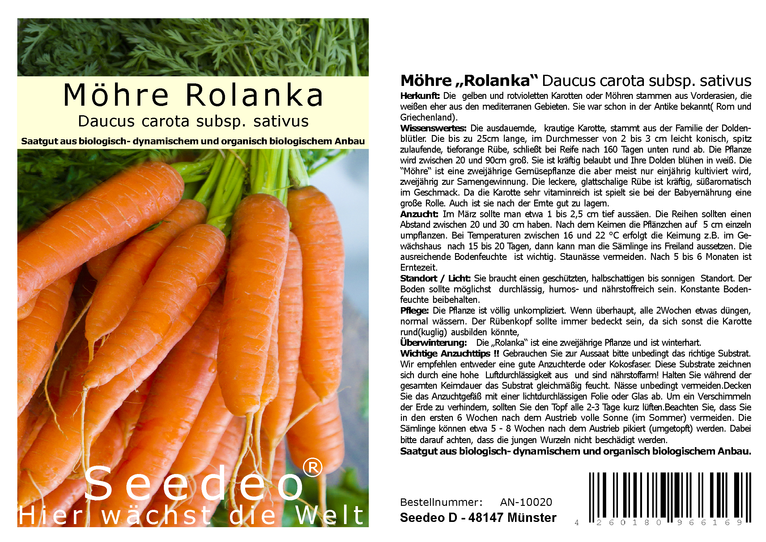 Seedeo® Möhre Rolanka (Daucus carota subsp. sativus) ca. 100 Samen BIO