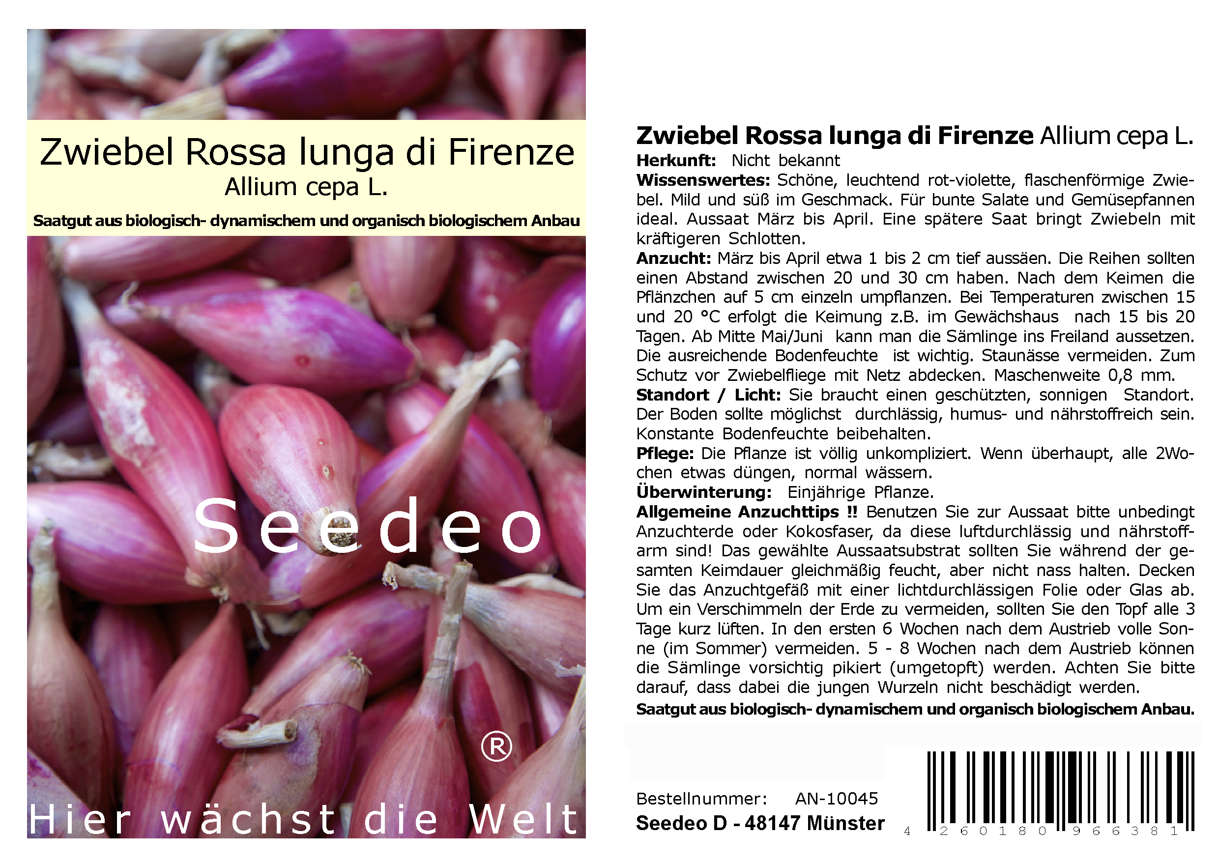 Seedeo® BIO Zwiebel Rossa lunga di Firenze (Allium cepa L.) 200 Samen