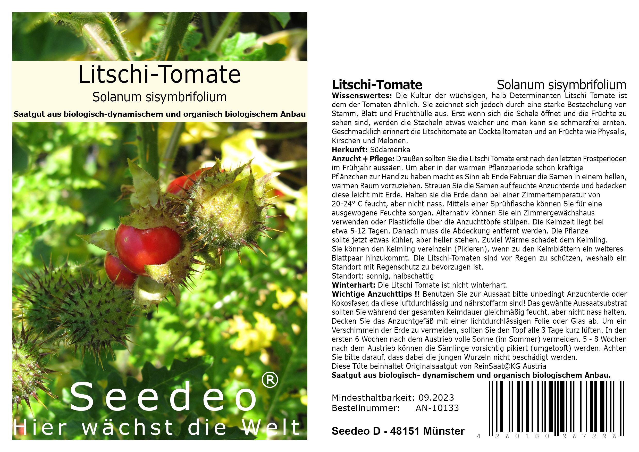 Seedeo®  Litschi Tomate (Solanum sisymbrifolium) 20 Samen BIO