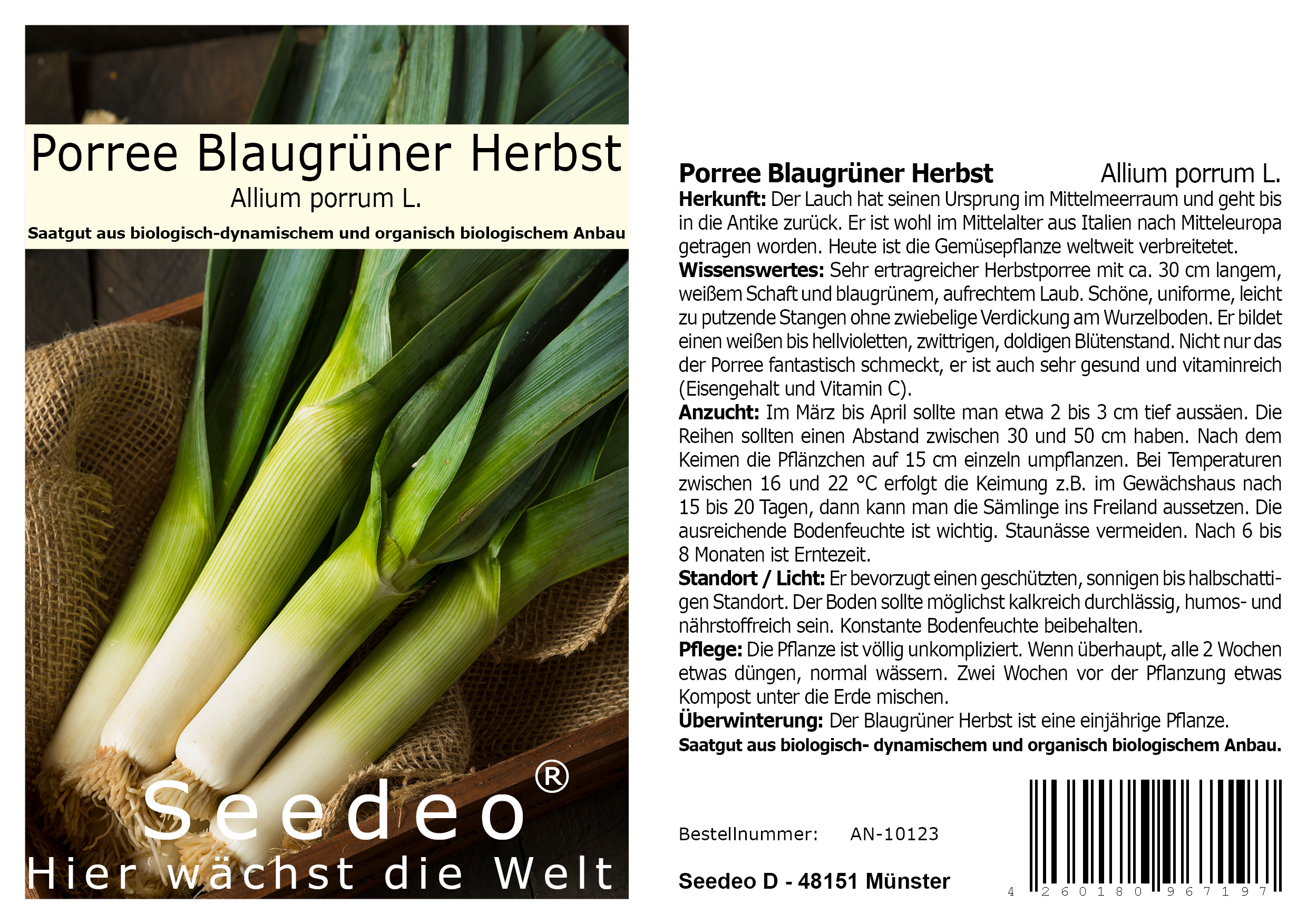 Seedeo® Porree Blaugrüner Herbst (Allium porrum L.) ca.150 Samen BIO