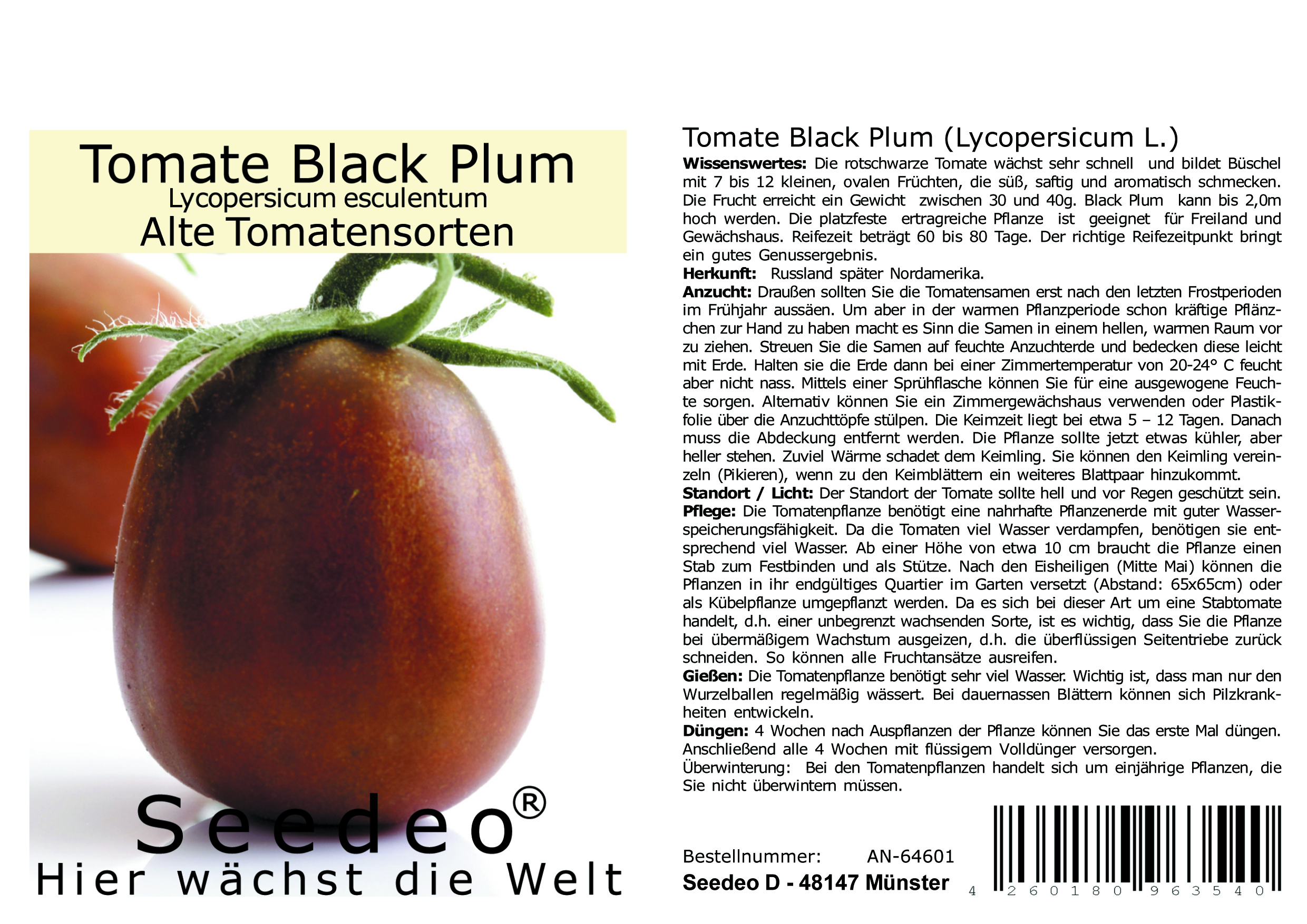 Seedeo® Tomate Black Plum (Lycopersicum esculentum Mill.) 20 Samen BIO