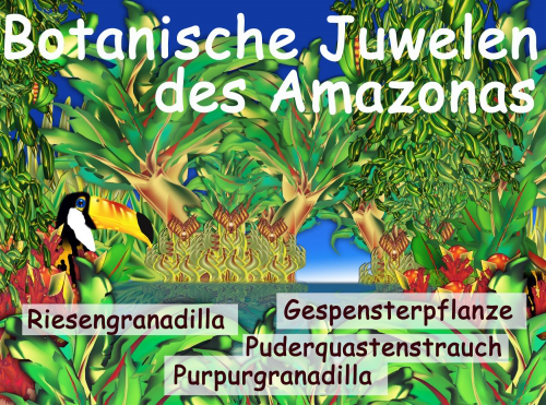 Bild Gewächshaus Botanische Juwelen  des Amazonas