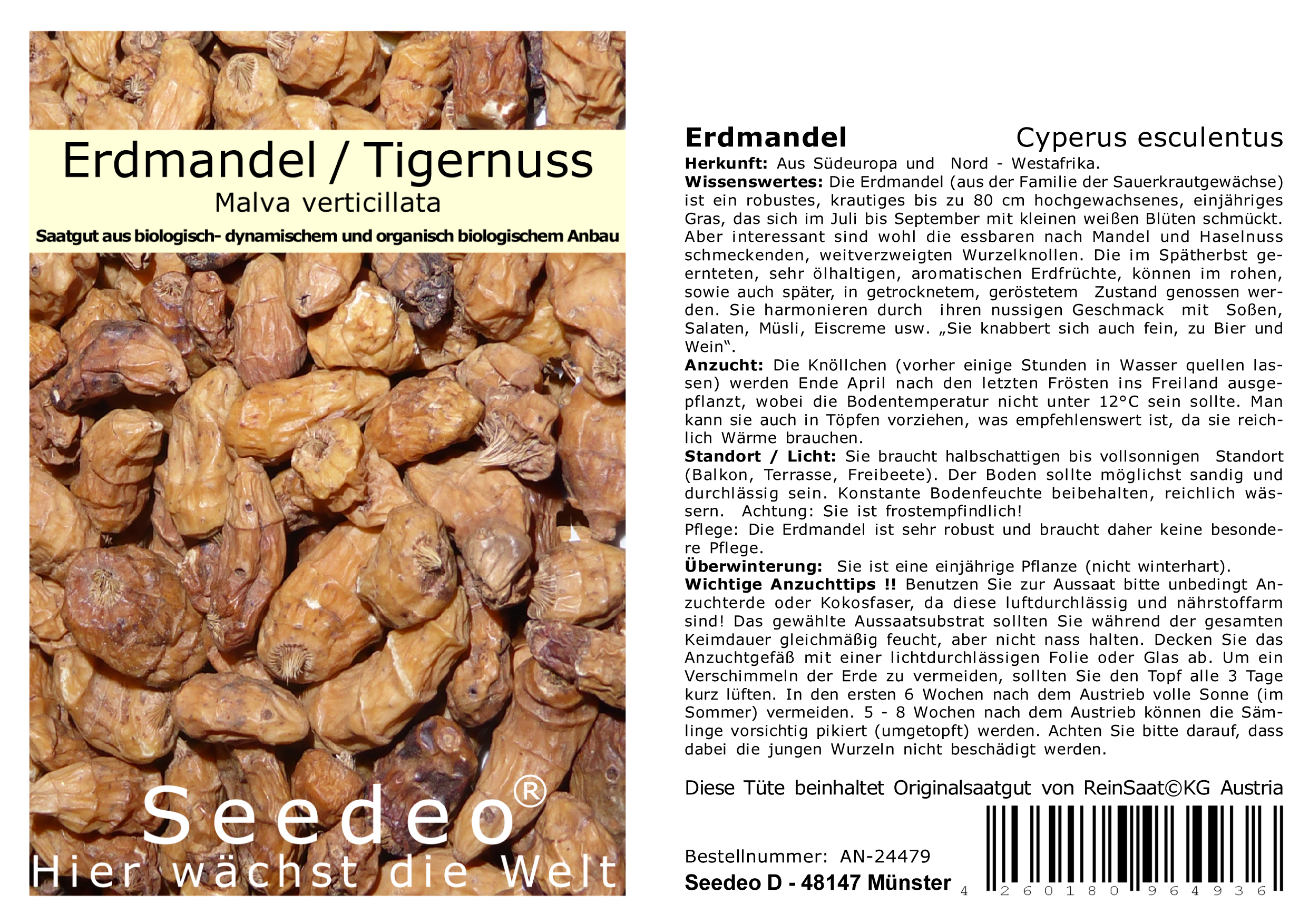 Seedeo® Erdmandel (Cyperus esculentus) 10 Samen BIO