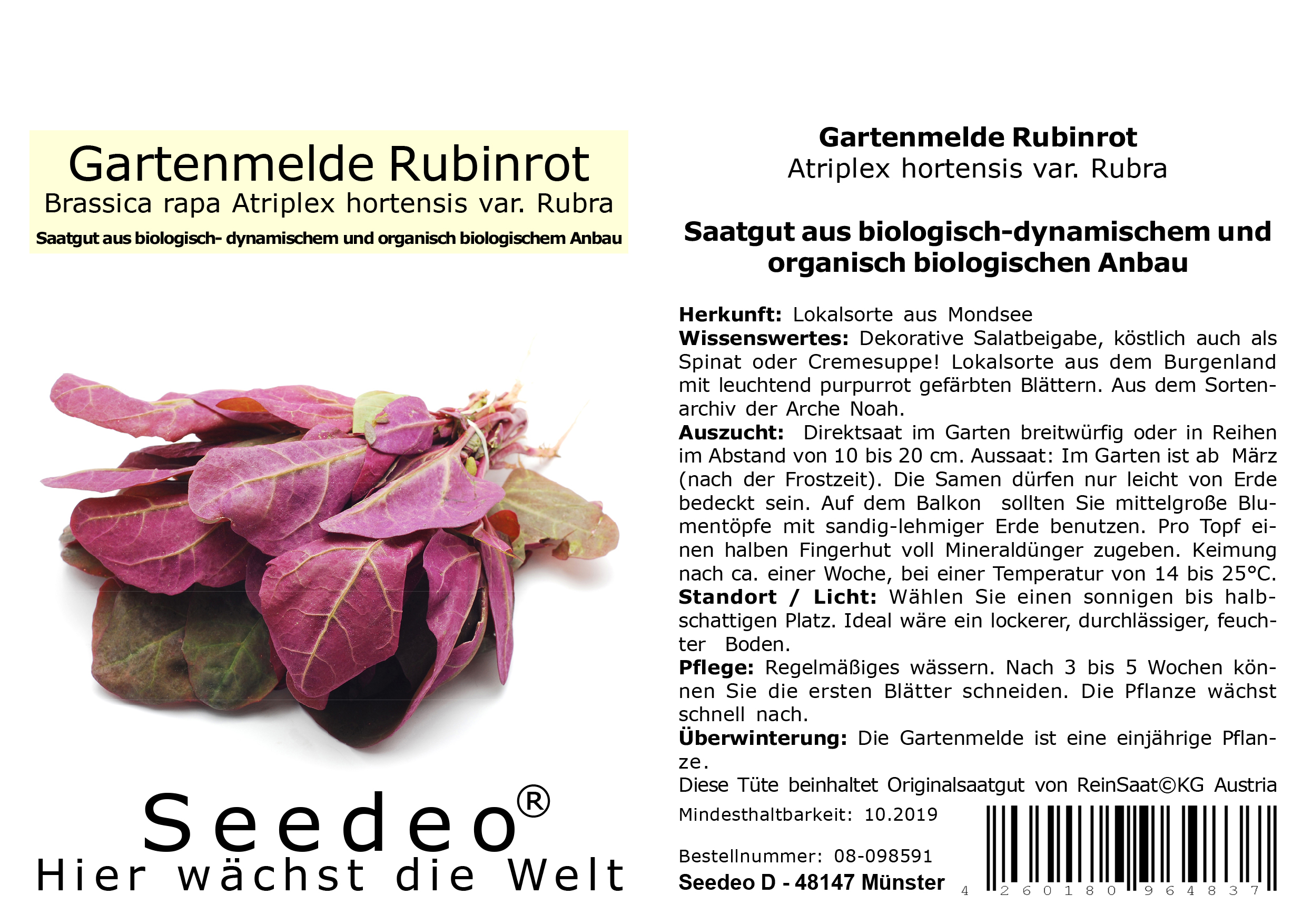 Seedeo® Gartenmelde rubinrot (Atriplex hortensis var. Rubra) 200 Samen BIO