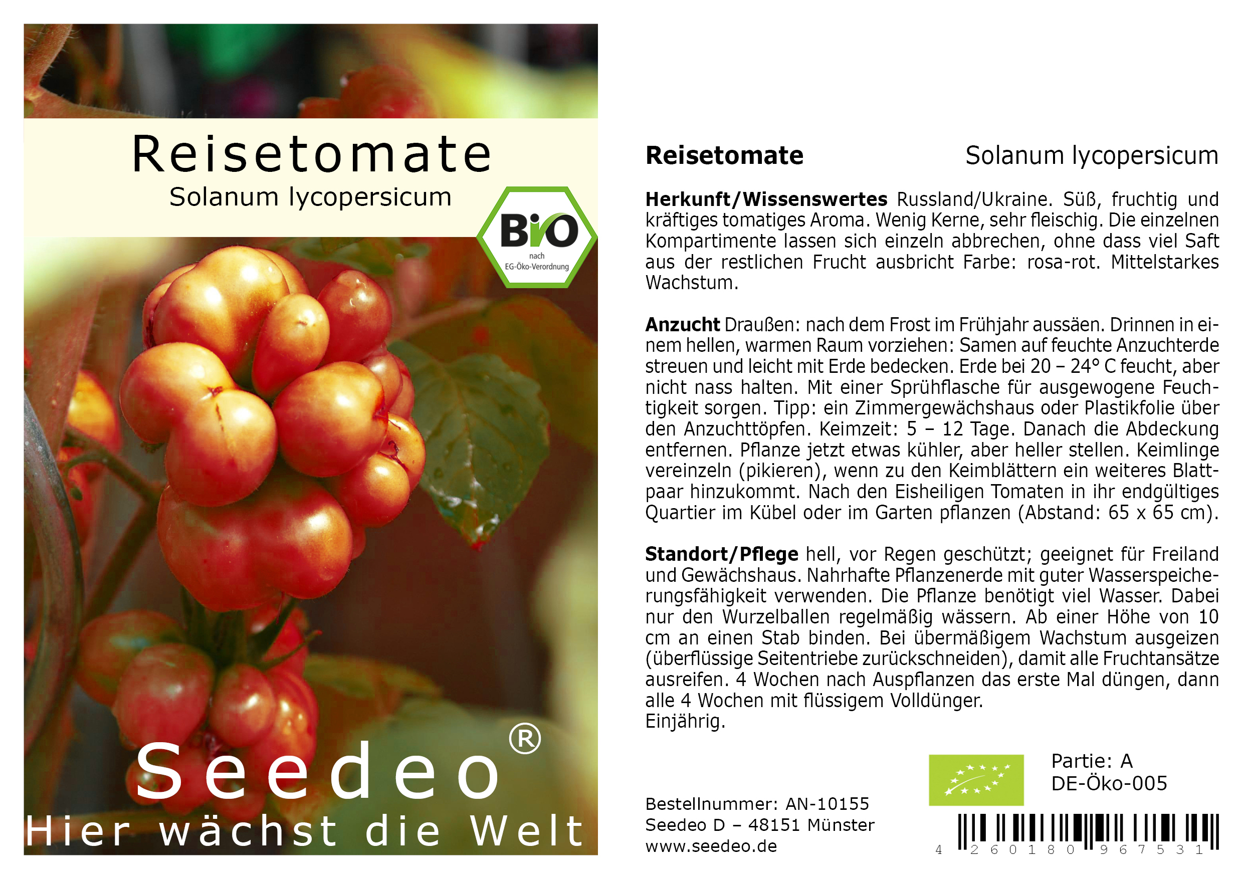 Seedeo® Reisetomate (Solanum lycopersicum) 15 Samen BIO