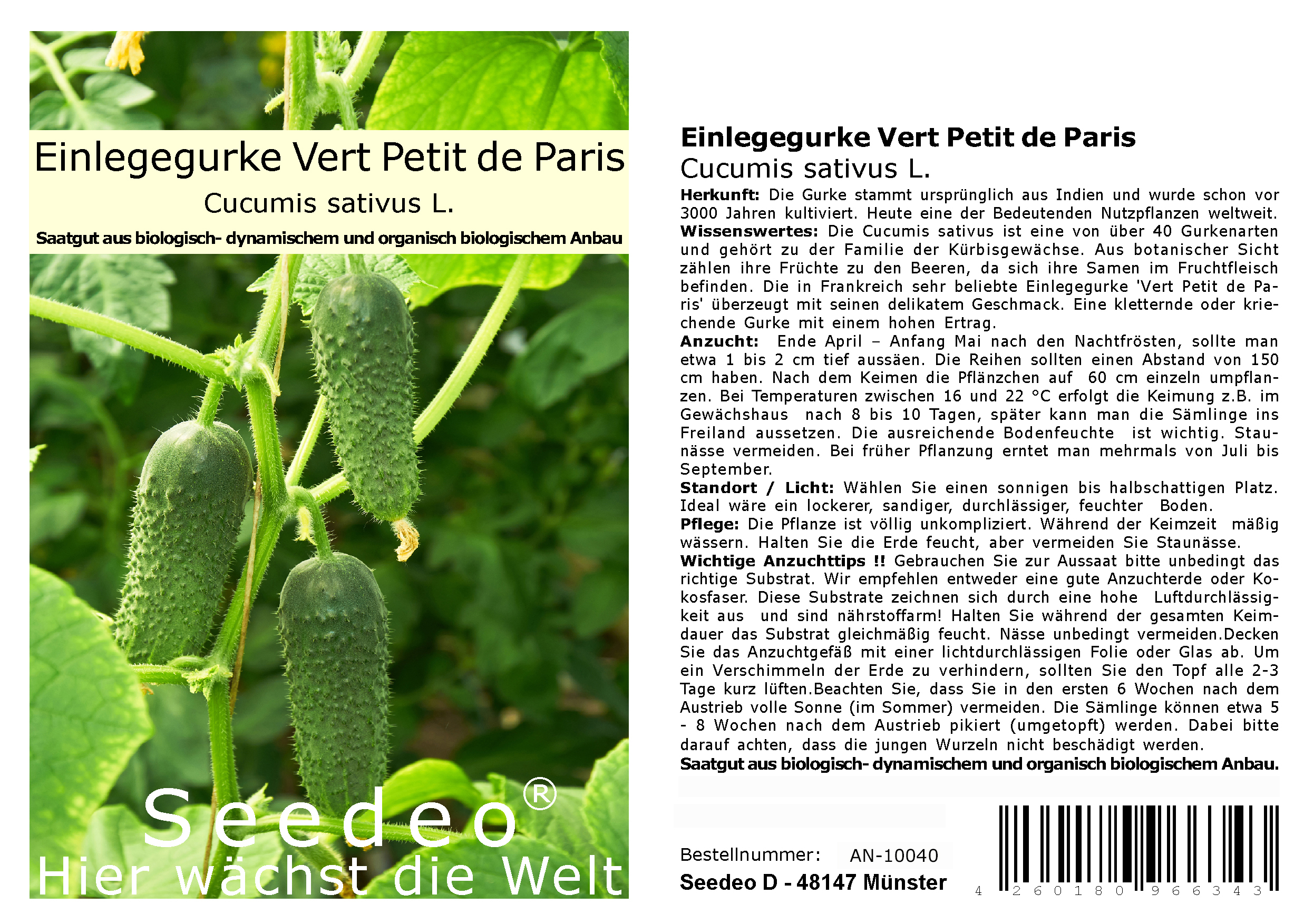 Seedeo® Einlegegurke Vert Petit de Paris  ( Cucumis sativus L.)  30 Samen BIO